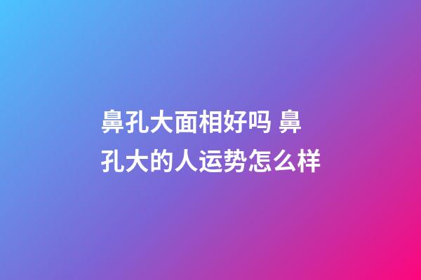 鼻孔大面相好吗 鼻孔大的人运势怎么样
